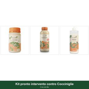 Kit pronto intervento contro Cocciniglie - Il mio orto Bio