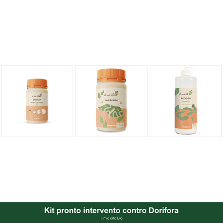 Kit pronto intervento contro Dorifora - Il mio orto Bio