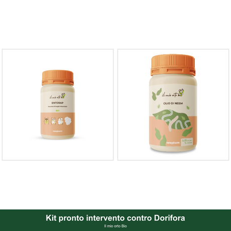Kit pronto intervento contro Dorifora - Il mio orto Bio