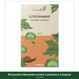 Kit pronto intervento contro Lumache e Limacce - Il mio orto Bio