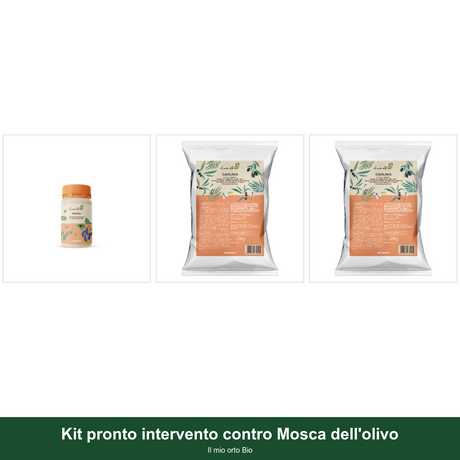 Kit pronto intervento contro Mosca dell'olivo - Il mio orto Bio