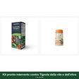 Kit pronto intervento contro Tignola della vite e dell'olivo - Il mio orto Bio
