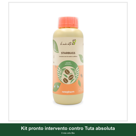 Kit pronto intervento contro Tuta absoluta - Il mio orto Bio