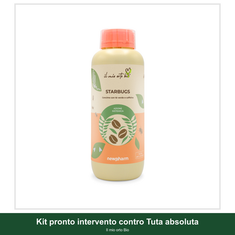 Kit pronto intervento contro Tuta absoluta - Il mio orto Bio