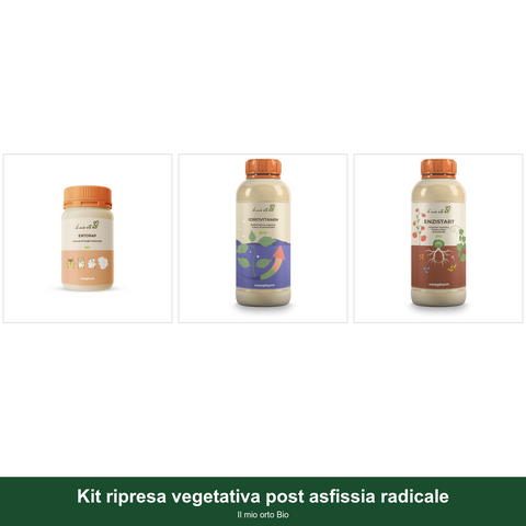 Kit ripresa vegetativa post asfissia radicale - Il mio orto Bio