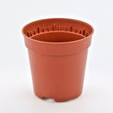 Vaso KUMA 5,5 cm (55Rx52mm).