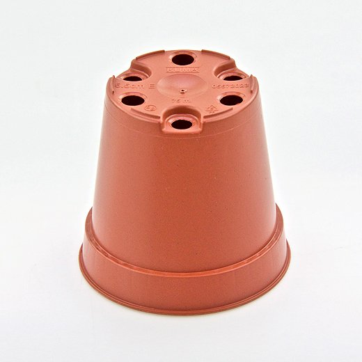 Vaso KUMA 5,5 cm (55Rx52mm).
