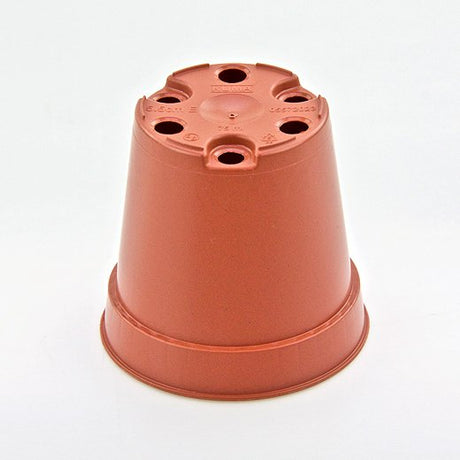 Vaso KUMA 5,5 cm (55Rx52mm).