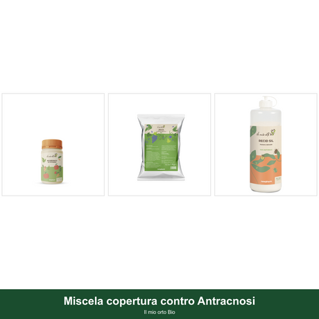 Miscela copertura contro Antracnosi