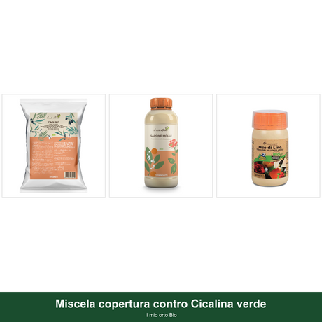 Miscela copertura contro Cicalina verde