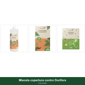 Miscela copertura contro Dorifora