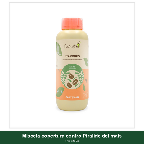 Miscela copertura contro Piralide del mais