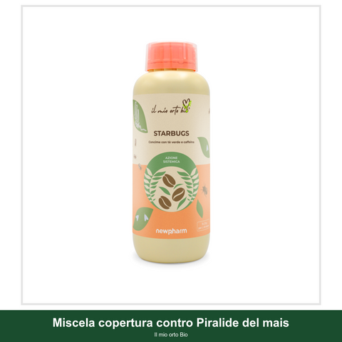 Miscela copertura contro Piralide del mais