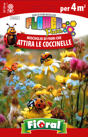 Miscuglio di semi da fiore Miscuglio DI Fiori CHE Attira LE Coccinelle Fioral