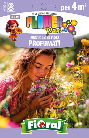 Miscuglio di semi da fiore Miscuglio DI Fiori Profumati Fioral