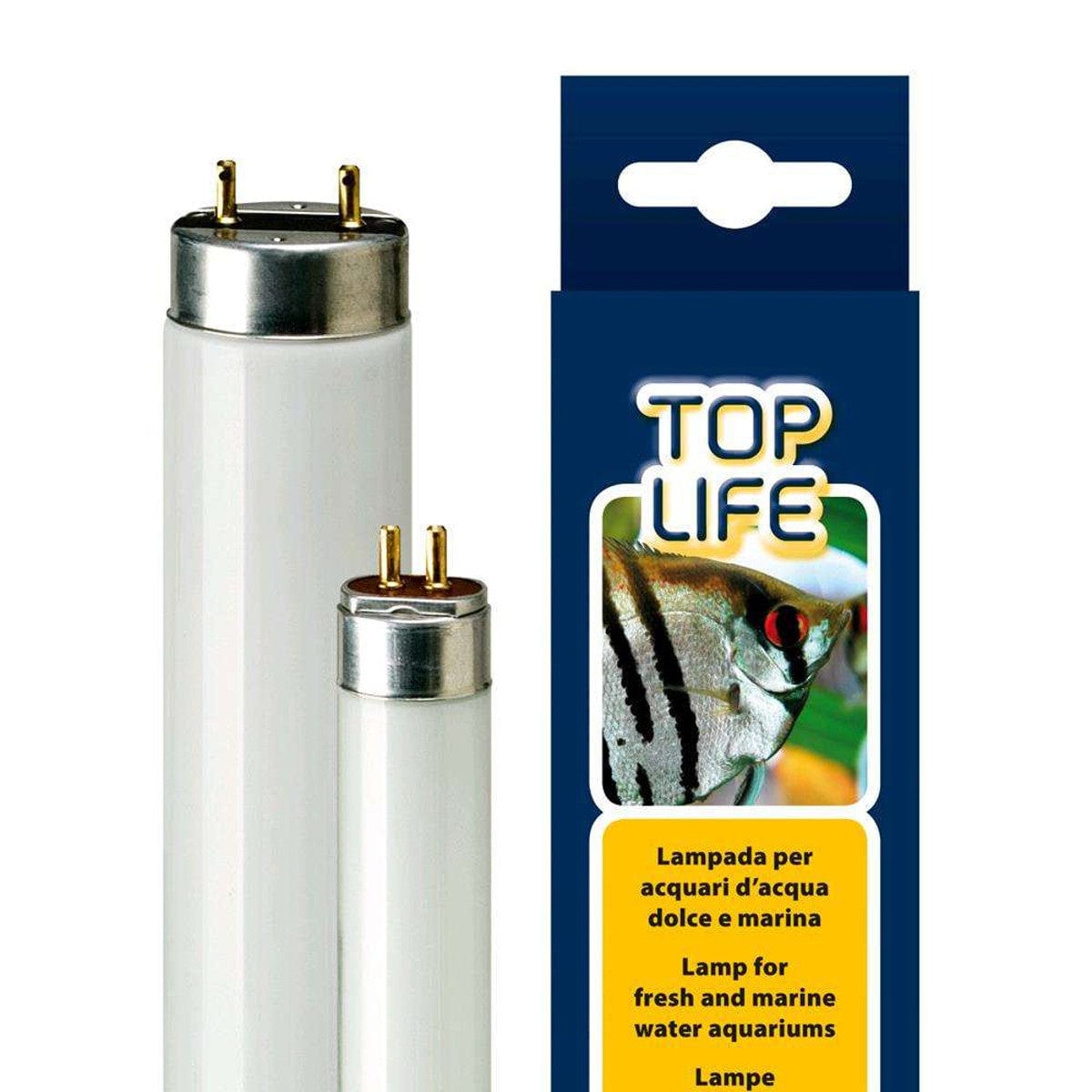 Neon acquario dolce Toplife, 15w, T8, 5000 ° K, Effetto Solare - Ferplast Ferplast (3764387)