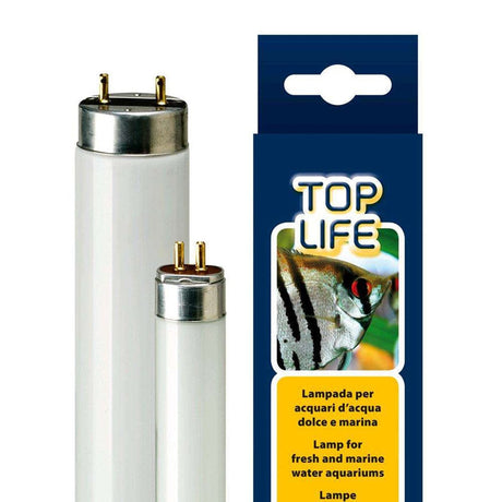 Neon acquario dolce Toplife, 15w, T8, 5000 ° K, Effetto Solare - Ferplast Ferplast (3764387)