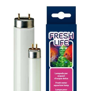 Neon acquario Freshlife 18W T8 - 10000° K - Ferplast Ferplast (3764389)