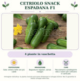Cetriolo Snack Espadana F1: 4 piante in vaschetta. Sole; ombra nelle ore più calde. Bagnature regolari, senza ristagni. Pacciamare e predisporre rete o tutori per coltivare in verticale.. Immagine indicativa.