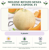 Melone Retato senza fetta Capitol F1: 4 piante. Posizione in pieno sole. Lasciare asciugare la superficie. Proteggere nei periodi freddi. Immagine indicativa.