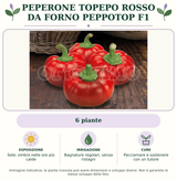 Peperone Topepo rosso da forno Peppotop F1: 6 piante. Sole; ombra nelle ore più calde. Bagnature regolari, senza ristagni. Pacciamare e sostenere con un tutore. Immagine indicativa.