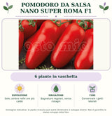 Pomodoro da salsa nano Super Roma F1: 6 piante in vaschetta. Sole; ombra nelle ore più calde. Bagnature regolari, senza ristagni. Pacciamare e conservare le femminelle: nei pomodori nani non vanno eliminate. Immagine indicativa.