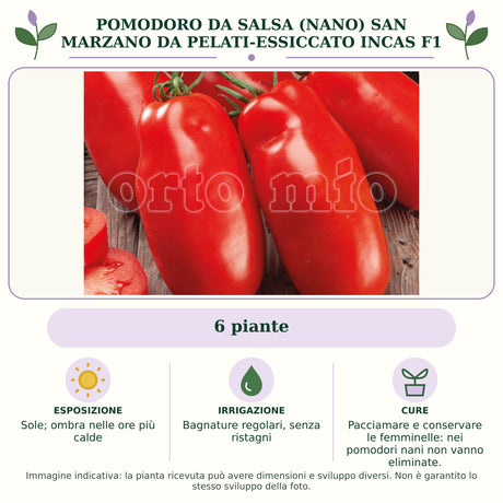 Pomodoro da salsa (nano) san marzano da pelati-essiccato Incas F1: 6 piante. Sole; ombra nelle ore più calde. Bagnature regolari, senza ristagni. Pacciamare e conservare le femminelle: nei pomodori nani non vanno eliminate.. Immagine indicativa.