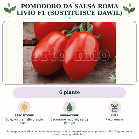 Pomodoro da salsa roma Livio F1 (sostituisce Dawil): 6 piante. Sole; ombra nelle ore più calde. Bagnature regolari, senza ristagni. Pacciamare.. Immagine indicativa.