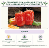 Pomodoro San Marzano e ovale San Marzano vuoto Scatolone F1: 6 piante. Sole; ombra nelle ore più calde. Bagnature regolari, senza ristagni. Pacciamare.. Immagine indicativa.