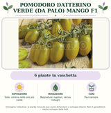 Pomodoro datterino verde (da palo) Mango F1: 6 piante in vaschetta. Sole; ombra nelle ore più calde. Bagnature regolari, senza ristagni. Pacciamare.. Immagine indicativa.