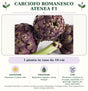 Carciofo Romanesco Atenea F1: 1 pianta in vaso da 10 cm. Posizione in pieno sole. Bagnature regolari, senza ristagni. Eliminare i carducci in eccesso, lasciando 2–3 germogli vigorosi per buca; sarchiare.. Immagine indicativa.