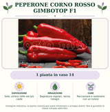 Peperone Corno rosso Gimbotop F1: 1 pianta in vaso 14. Sole; ombra nelle ore più calde. Bagnature regolari, senza ristagni. Pacciamare e sostenere con un tutore. Immagine indicativa.