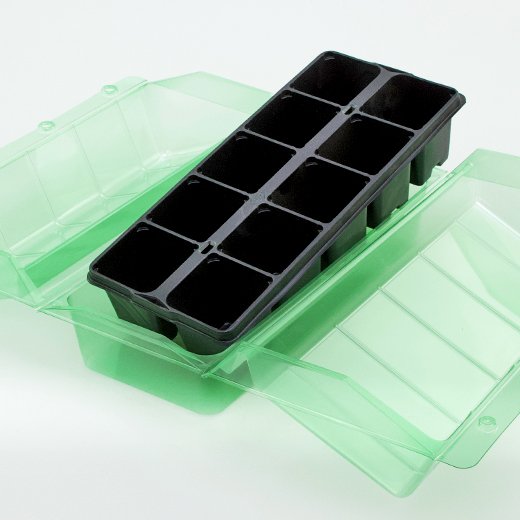 Pacco per ordine postale per un vassoio per piante 315x140x66mm con Lavanda o Bosso.