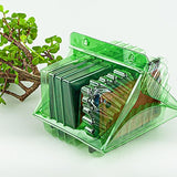 Ordine per corrispondenza di un pacco per un albero Bonsai di 15 cm.