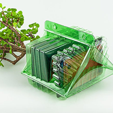 Ordine per corrispondenza di un pacco per un albero Bonsai di 15 cm - Confezione da 300 pz