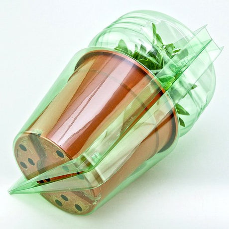 Pacco per ordine postale per 1 pianta in un vaso di ø17x15cm - Confezione da 250 pz