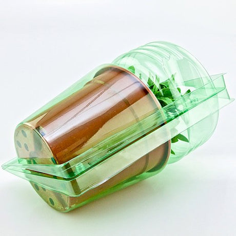 Pacco per ordine per corrispondenza per 1 pianta in un vaso di ø17x15cm - Confezione da 250 pz