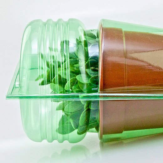 Pacco per ordine per corrispondenza per 1 pianta in un vaso di ø17x15cm.