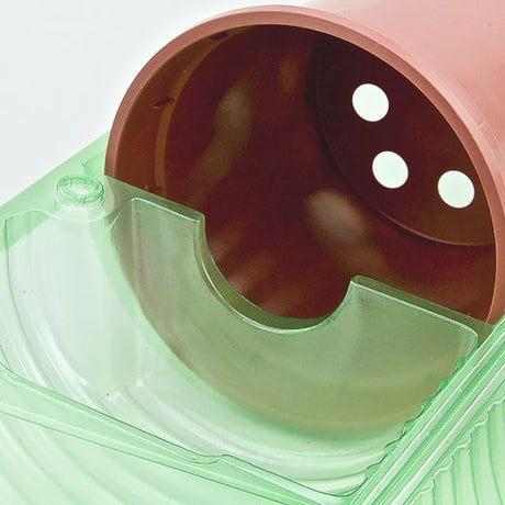 Pacco per ordine per corrispondenza per 1 pianta in un vaso di ø15x15cm - Confezione da 200 pz