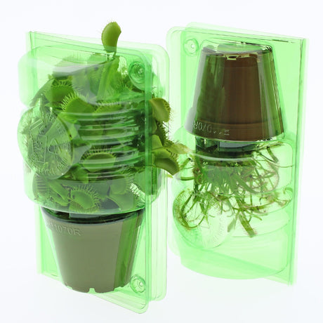 Pacco per ordine per 1 pianta in vaso ø70x53 mm - Confezione da 600 pz
