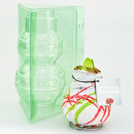 Pacco per ordine per 1 bulbo di Fiore di Amaryllis in cera.