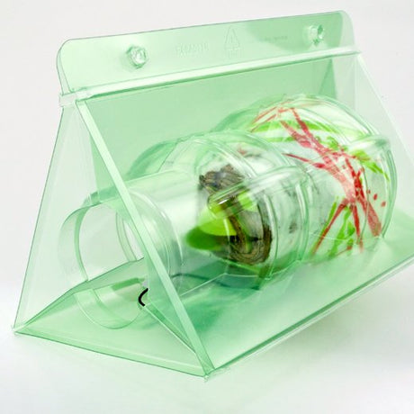 Pacco per ordine per 1 bulbo di Fiore di Amaryllis in cera - Confezione da 250 pz