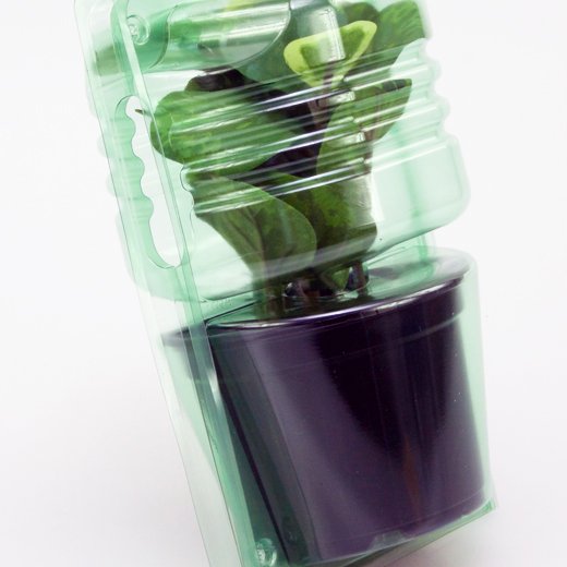 Pacco per ordine per corrispondenza per 1 pianta in un vaso di ø12x9cm.