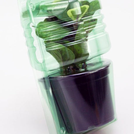 Pacco per ordine per corrispondenza per 1 pianta in un vaso di ø12x9cm.
