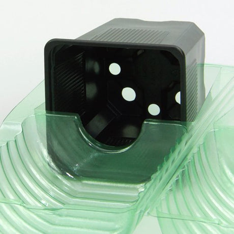 Pacco per ordine per corrispondenza per 1 pianta in un vaso di 9x9x10 cm - Confezione da 500 pz