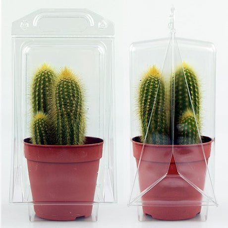 Confezione per contenere 1 pianta in un vaso di 11x11x12 cm - Cartone da 300 pz