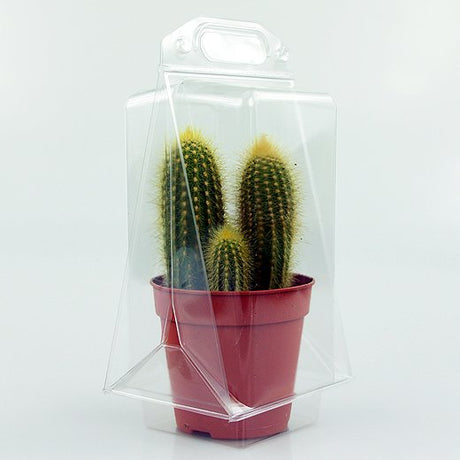 Confezione per contenere 1 pianta in un vaso di 11x11x12 cm - Cartone da 300 pz