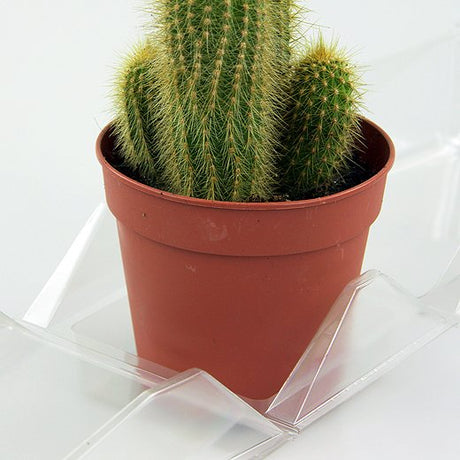 Confezione per contenere 1 pianta in un vaso di 11x11x12 cm - Cartone da 300 pz