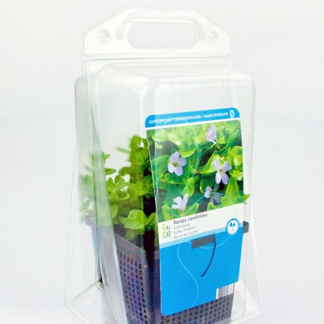Confezione per contenere 1 pianta in un vaso di 11x11x12 cm - Cartone da 300 pz