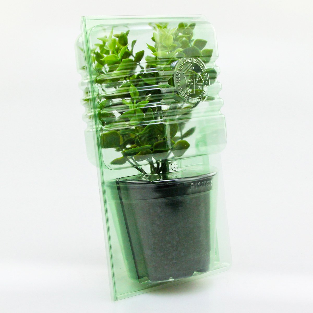 Pacco per ordine per corrispondenza per 1 pianta in un vaso di ø10,5x9cm.